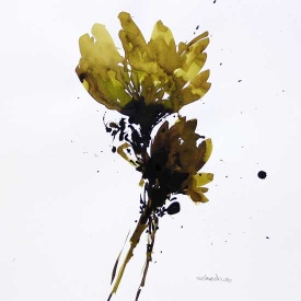 از مجموعه گل