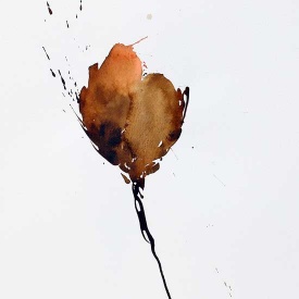از مجموعه گل
