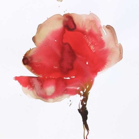 از مجموعه گل