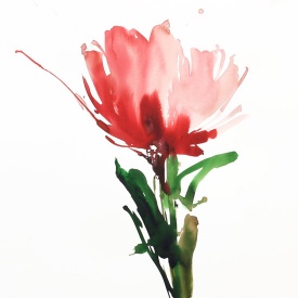 از مجموعه گل