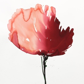 از مجموعه گل