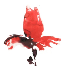 از مجموعه گل