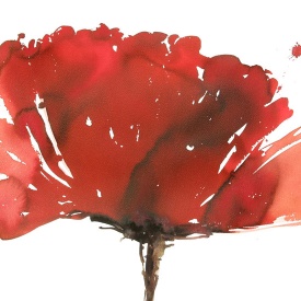 از مجموعه گل