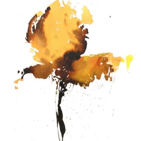 از مجموعه گل