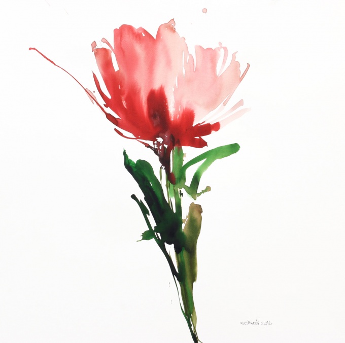 از مجموعه گل