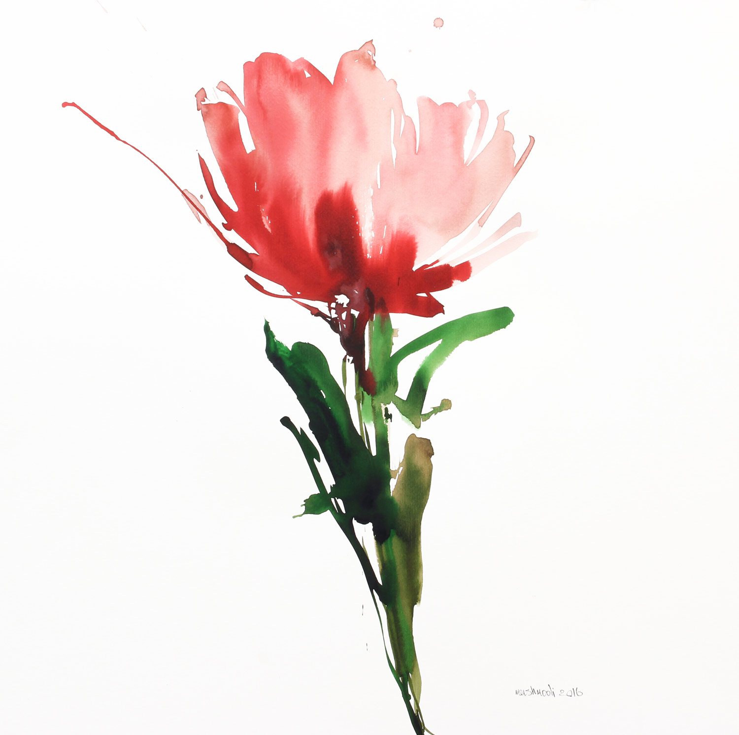 از مجموعه گل